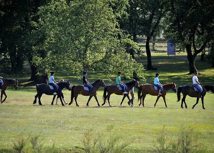 호텔 Plavi Plava Laguna 포레치