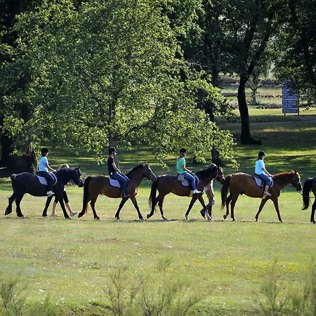 Hotel Plavi Plava Laguna Poreč